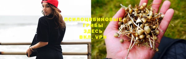 MESCALINE Волосово