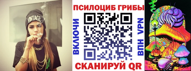 ОМГ ОМГ как зайти Безенчук Галлюциногенные грибы мицелий